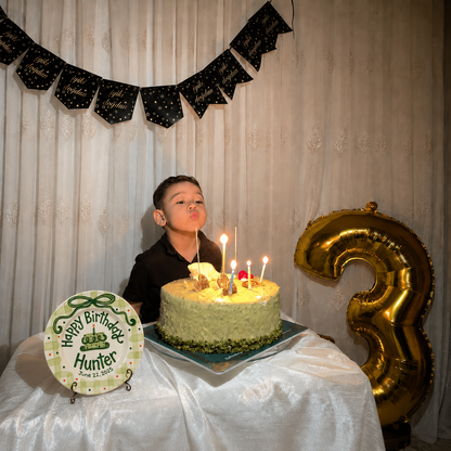 Custom Hand Painted Ceramic Birthday Plate, Green Bow Gingham Plate, Personalized Birthday Plate with Date, First Birthday Gift Boy | B052