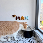 Personalized Ceramic Pet Name Letters – Mini 8cm Bubble Wall Decor | LA007