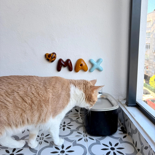 Personalized Ceramic Pet Name Letters – Mini 8cm Bubble Wall Decor | LA007