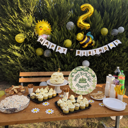 Custom Hand Painted Ceramic Birthday Plate, Green Bow Gingham Plate, Personalized Birthday Plate with Date, First Birthday Gift Boy | B052